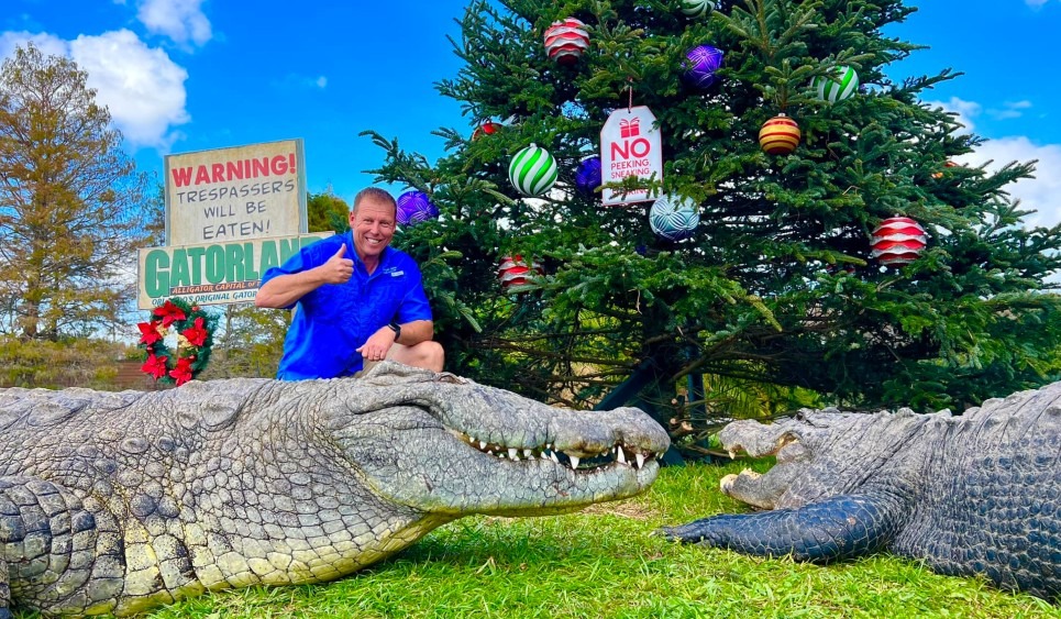 Natal no Gatorland Orlando Gatorland Orlando
